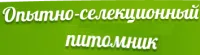 Рассада земляники Азия
